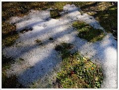 Letzter Schnee in meinem Garten - hoffe es bleibt dabei