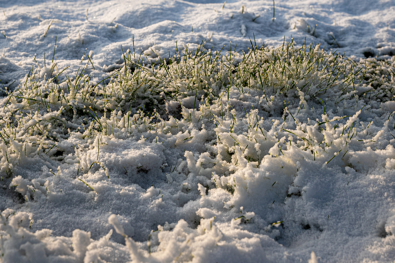 Letzter Schnee in Reinbek