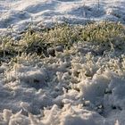 Letzter Schnee in Reinbek