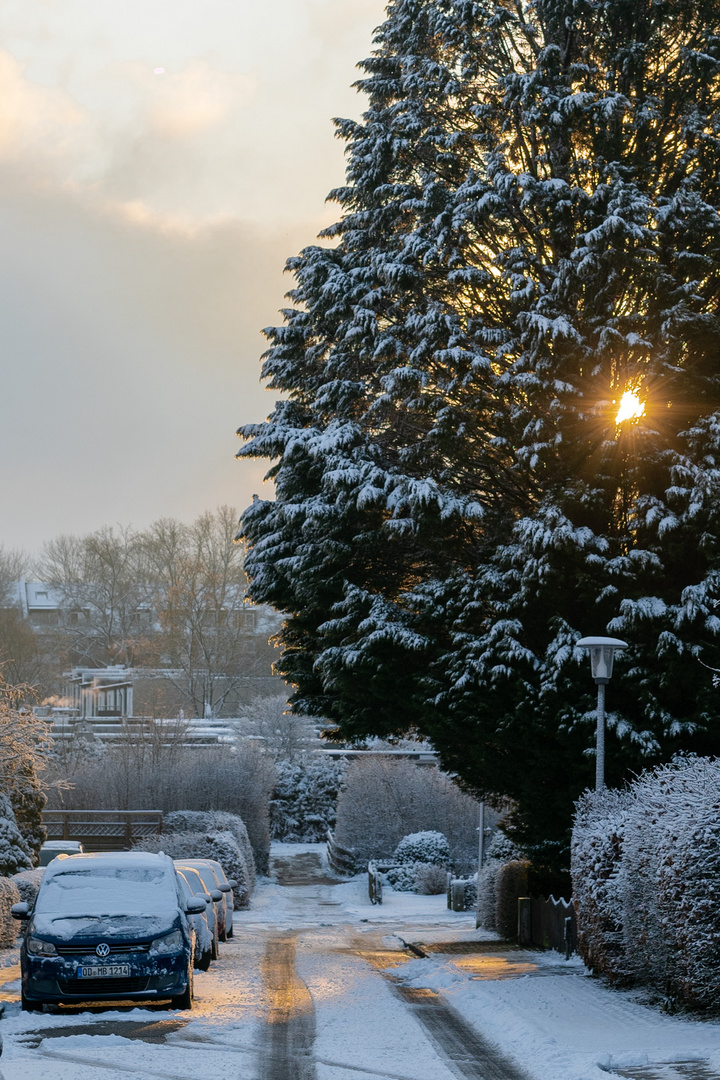 Letzter Schnee in Reinbek