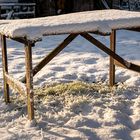 Letzter Schnee in Reinbek