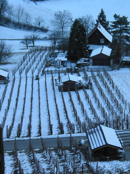 Letzter Schnee in unserer Region