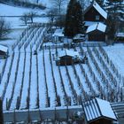 Letzter Schnee in unserer Region