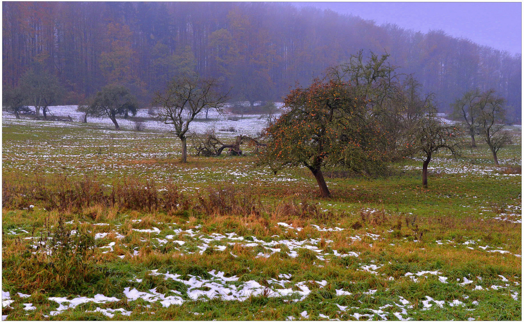 letzter Schnee (la última nieve)