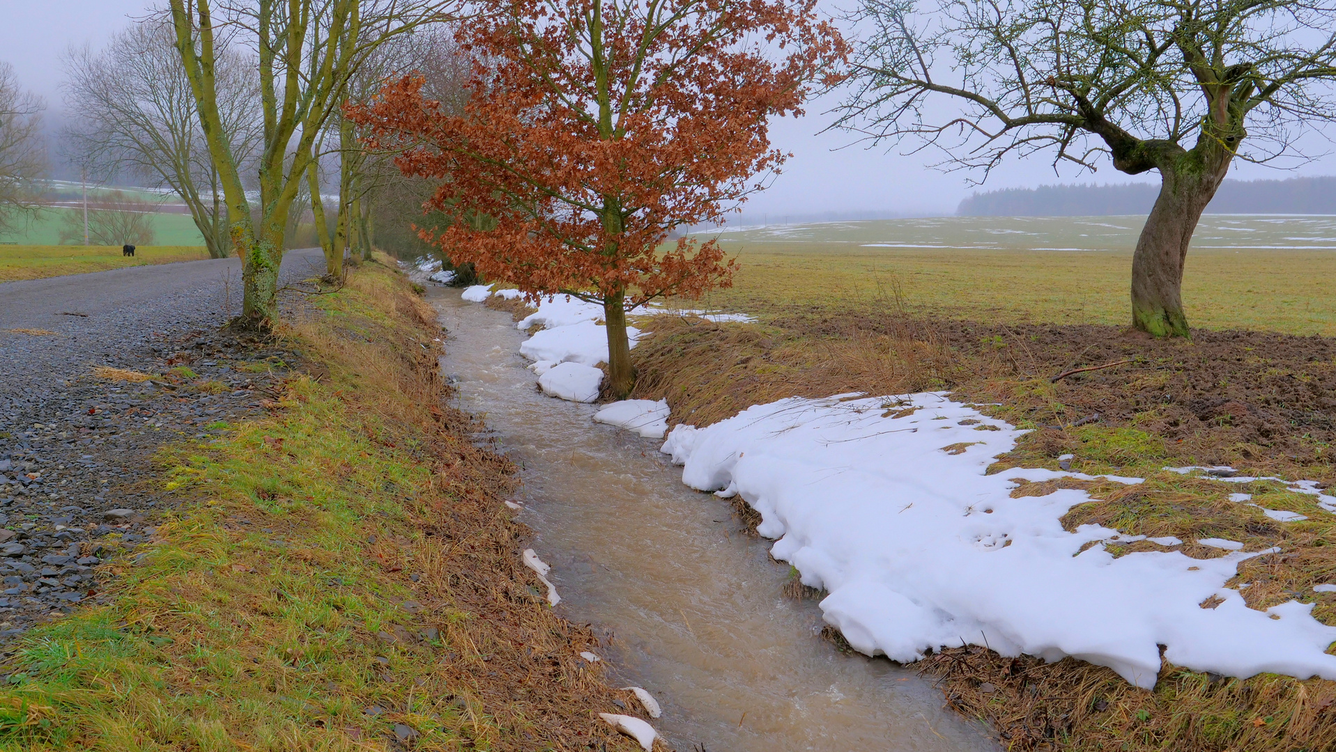 letzter Schnee (la última nieve)