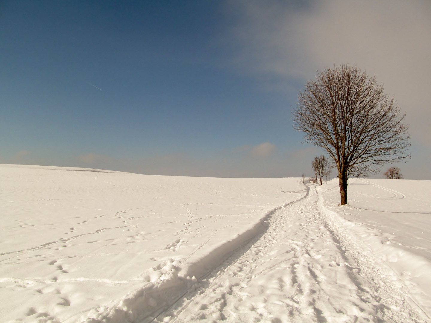 letzter Schnee vom Frühling