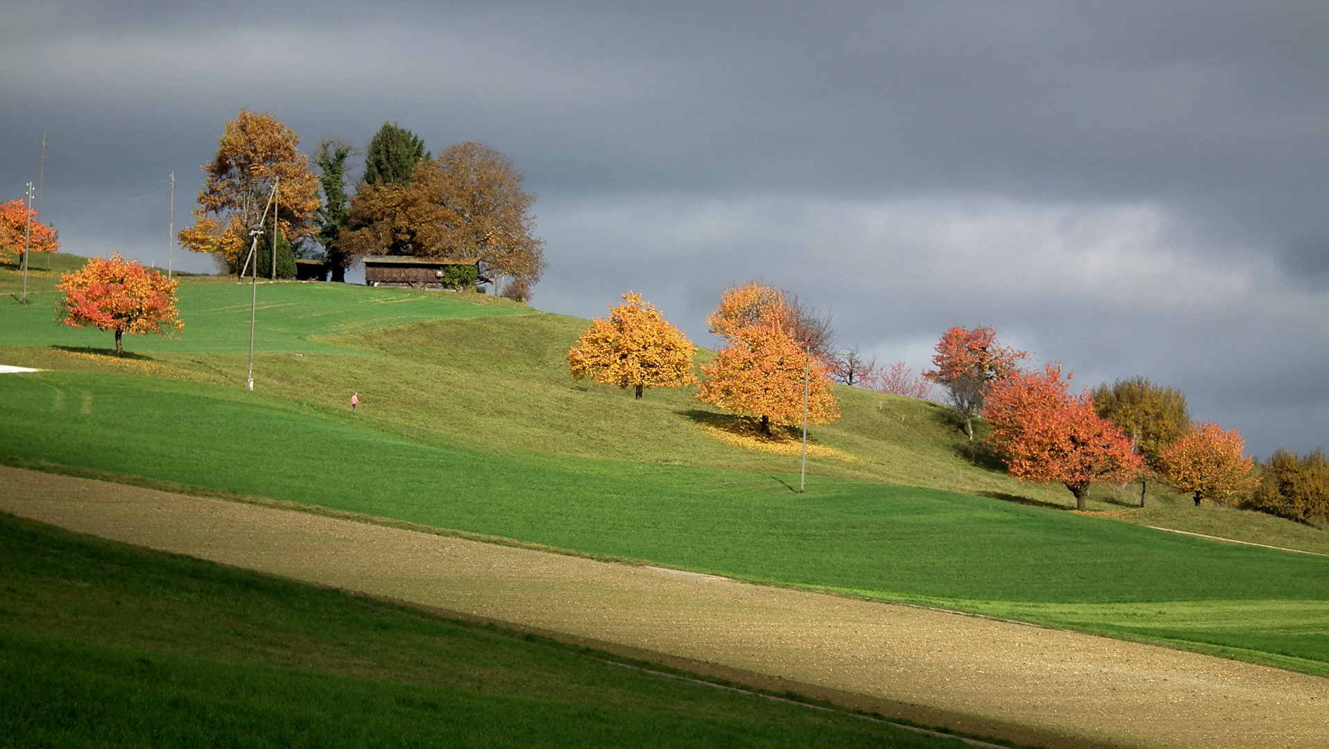 Letzter schöner Herbsttag