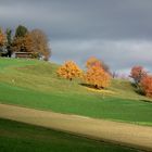 Letzter schöner Herbsttag