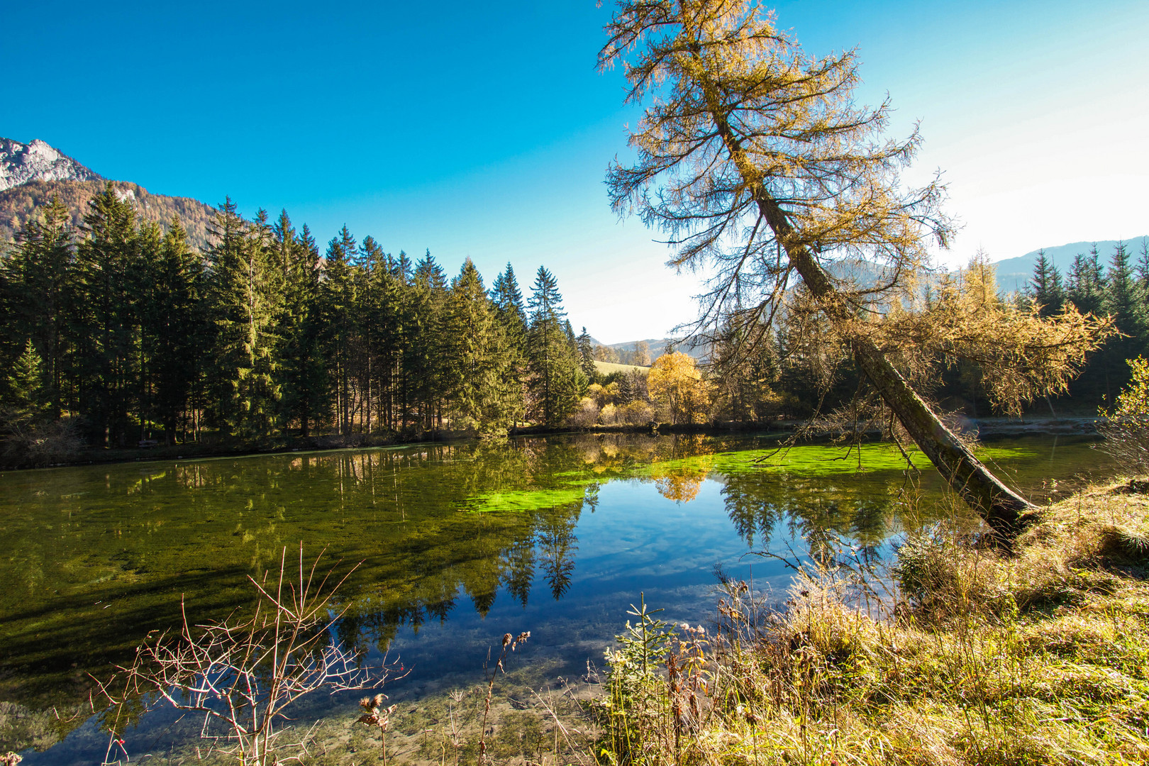 Letzter schöner Herbsttag