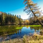 Letzter schöner Herbsttag