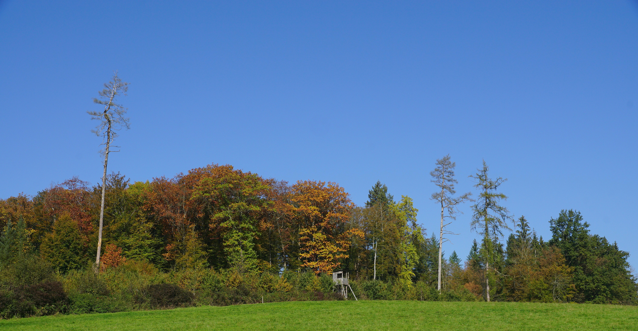 Letzter schöner Oktobertag