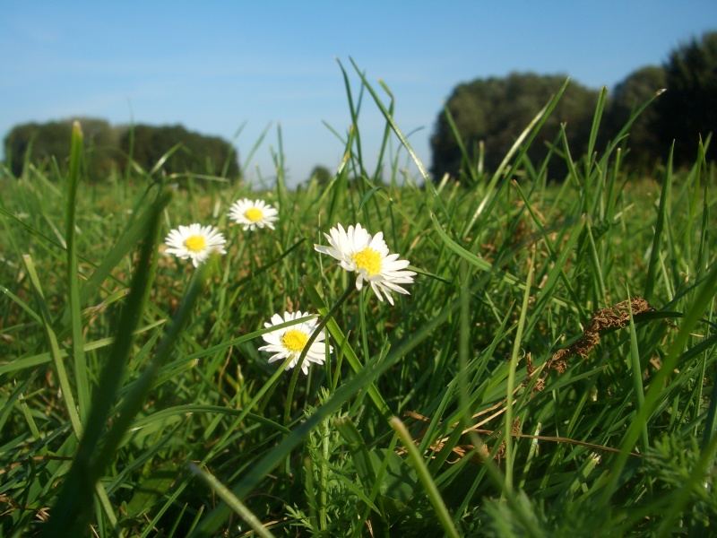 Letzter schöner Sommertag?