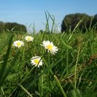 Letzter schöner Sommertag?