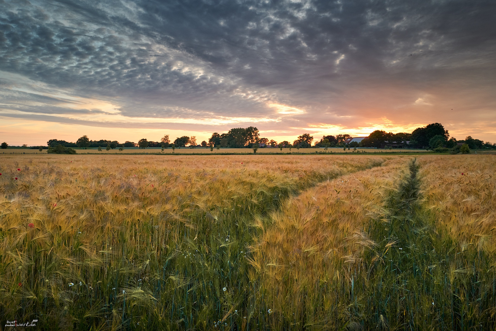 ... letzter sommer II