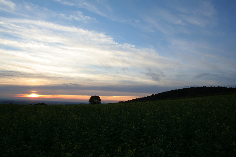 Letzter Sommerabend