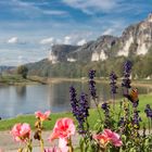  Letzter Sommertag 2019 an der Elbe bei Rathen