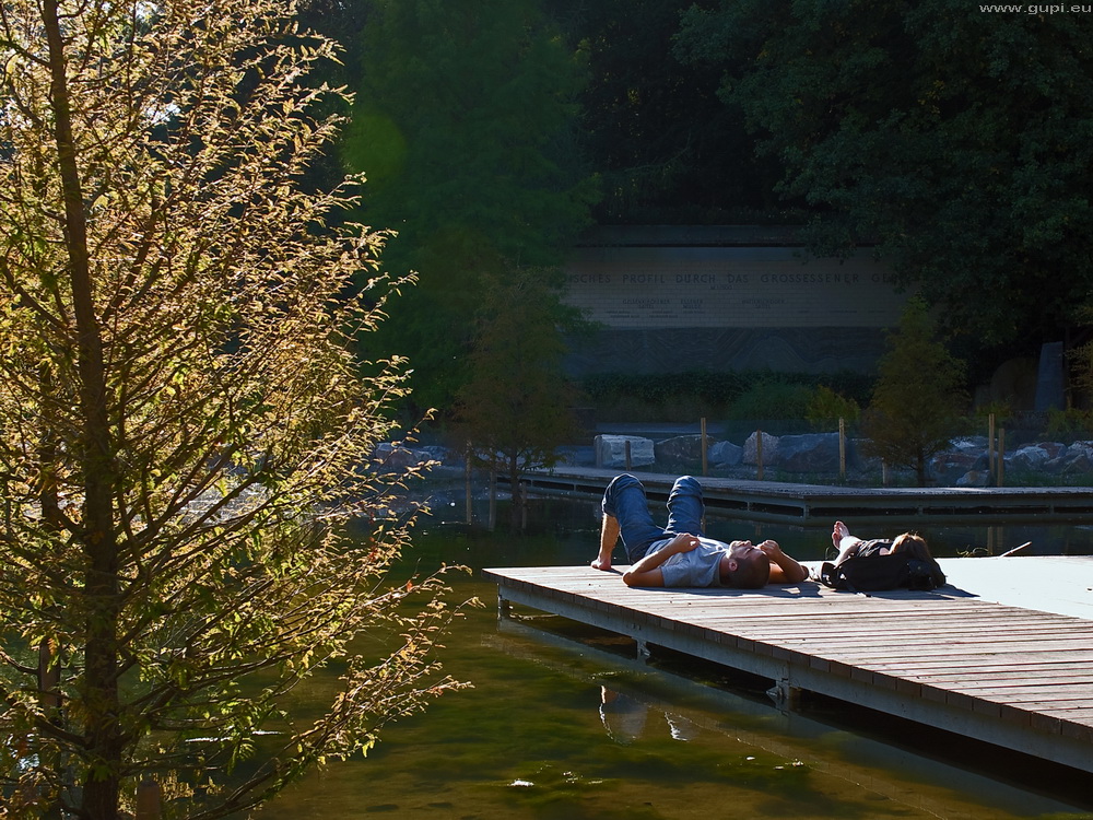 Letzter Sommertag