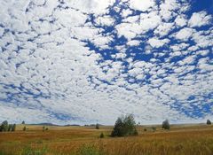 Letzter Sommertag im Hochmoor