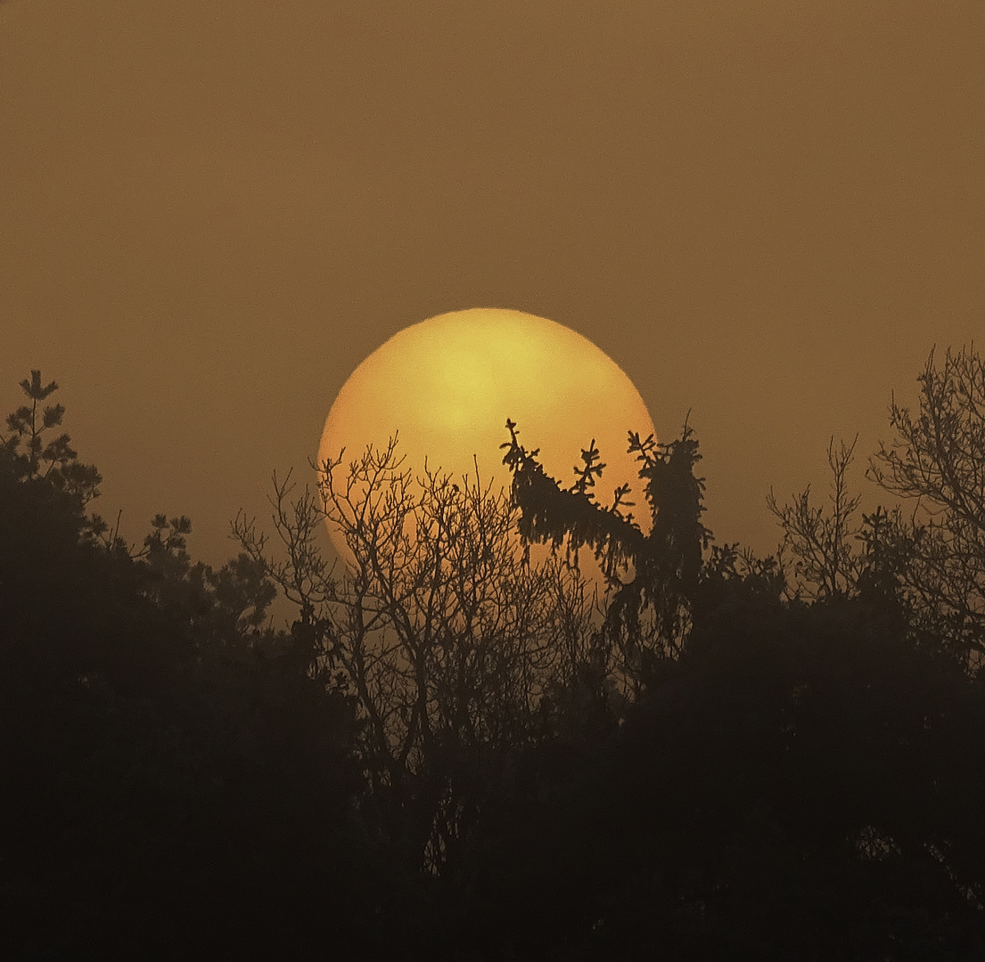 ...letzter Sonnenaufgang 2016...