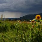 Letzter Sonnenschein vor dem Regen