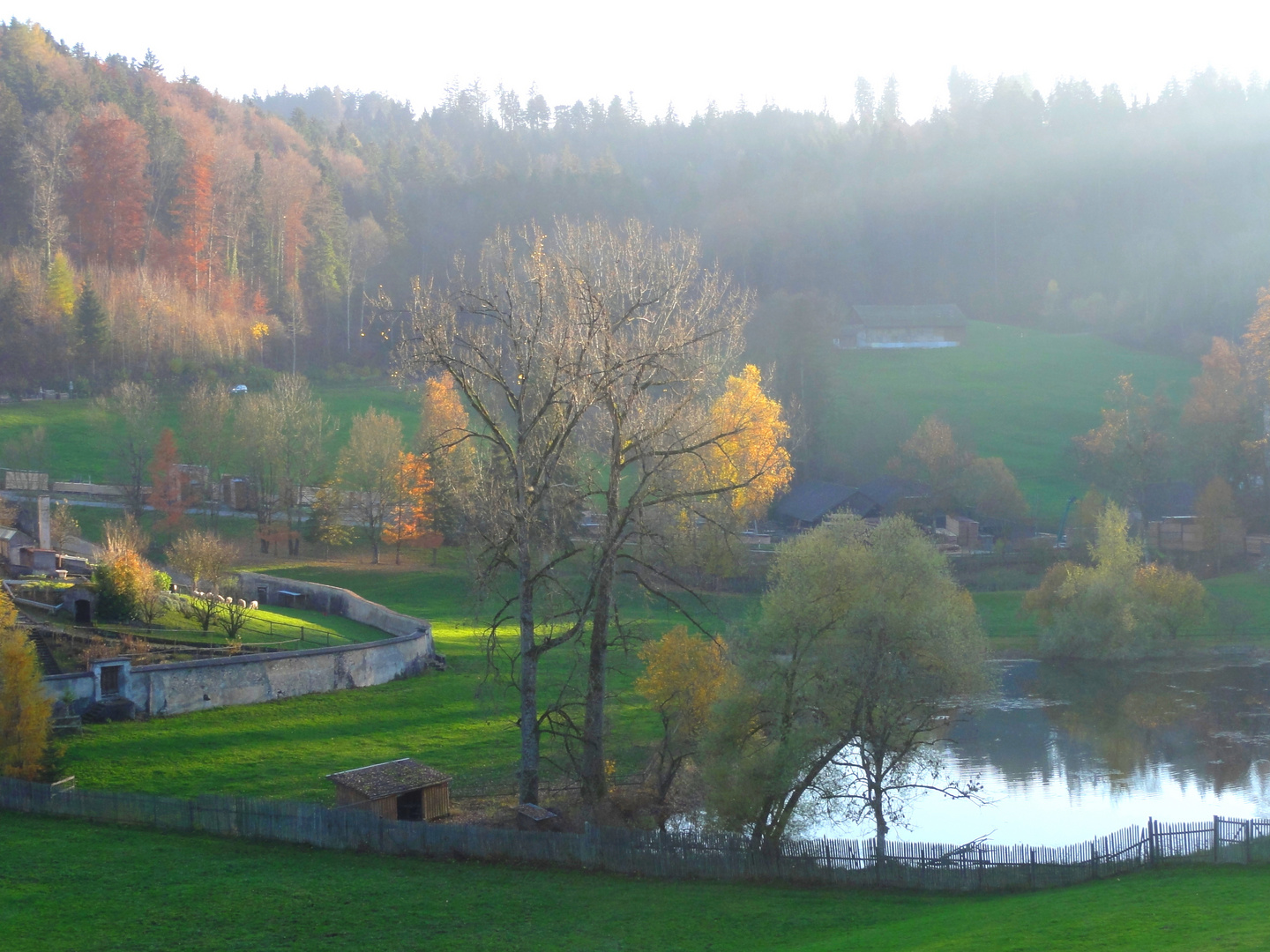 Letzter Sonnenstrahl