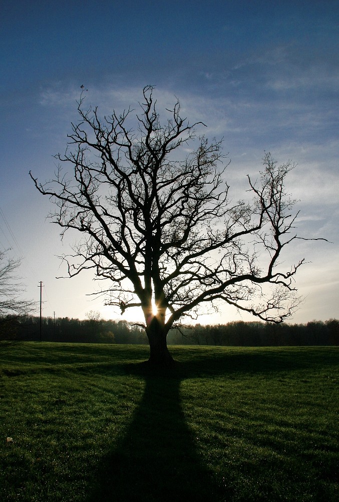 Letzter Sonnenstrahl