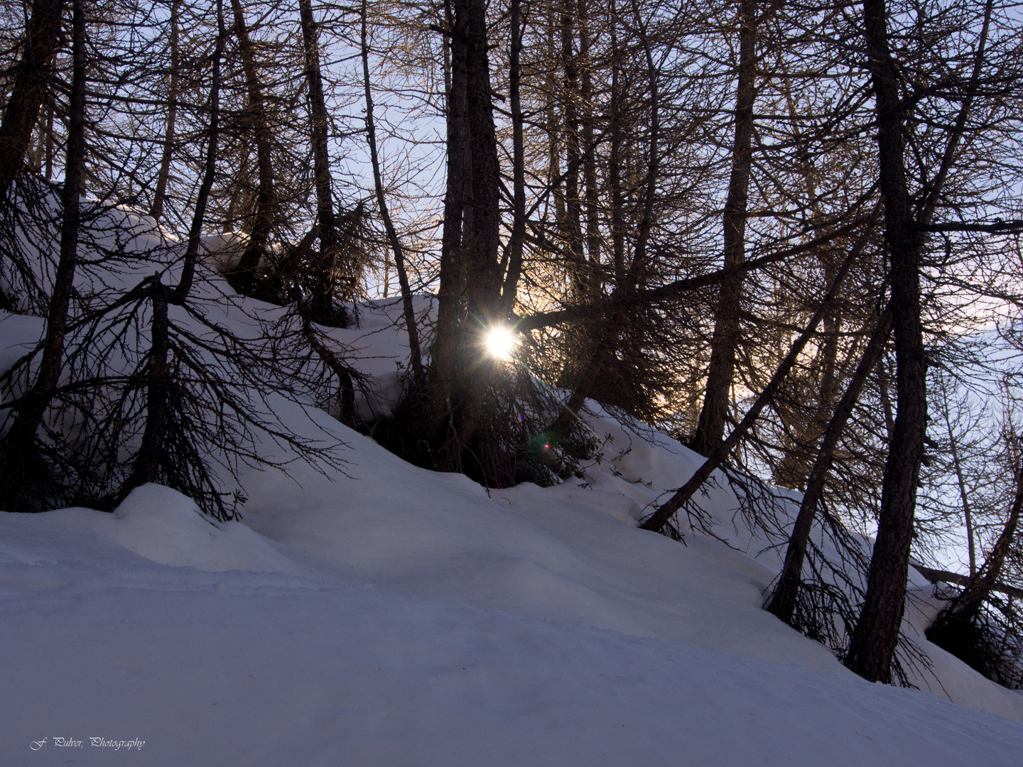 letzter Sonnenstrahl im Winterwald