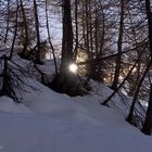 letzter Sonnenstrahl im Winterwald