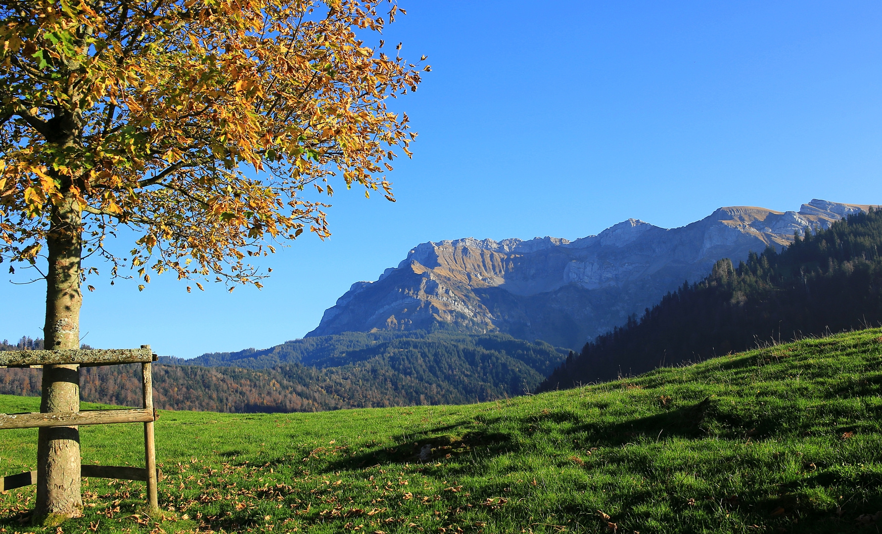 Letzter sonniger, warmer Herbsttag ?