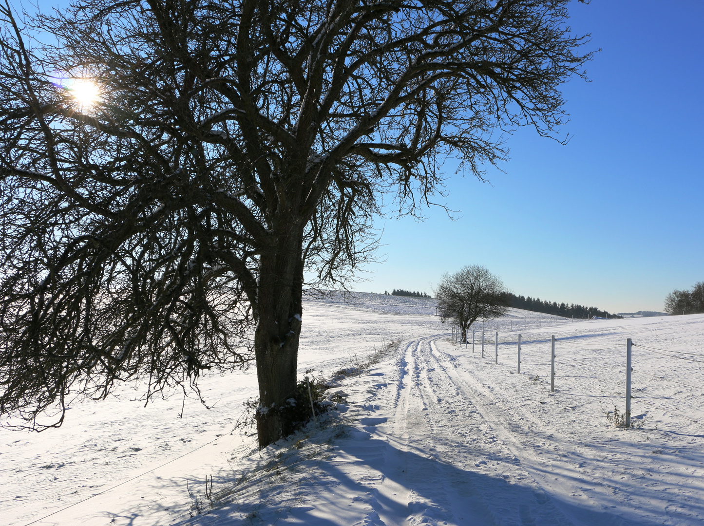 Letzter Sonntag 2014