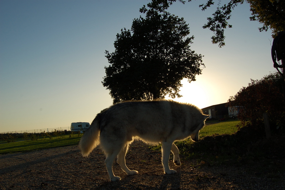 Letzter Tag auf dem Campingplatz