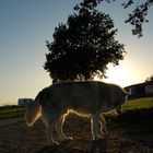 Letzter Tag auf dem Campingplatz