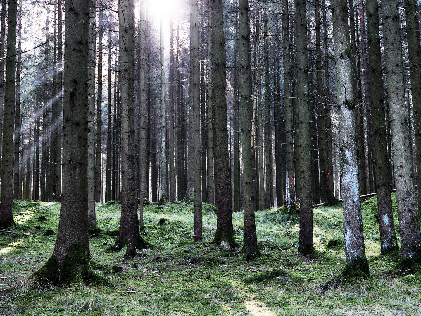 Letzter Tag im Herbst