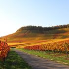  Letzter Tag im Oktober