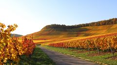  Letzter Tag im Oktober