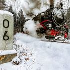 Letzter Winterausflug 2018 nach Johnsdorf