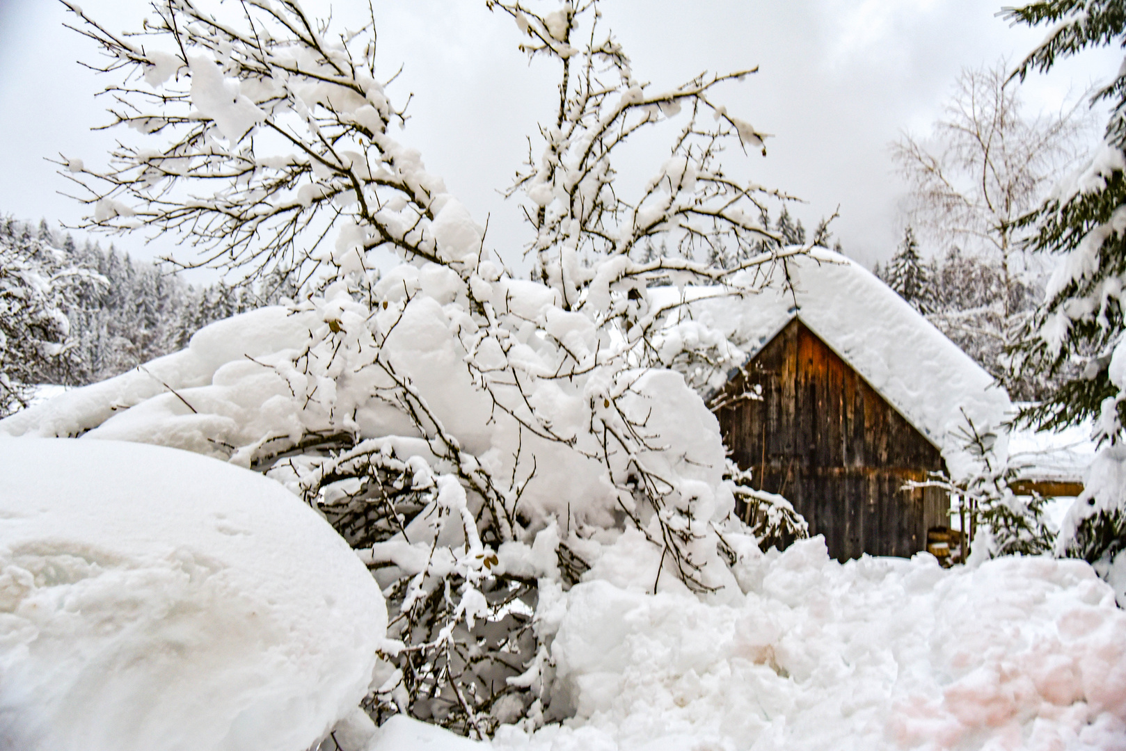 letzter Wintereinbruch 22