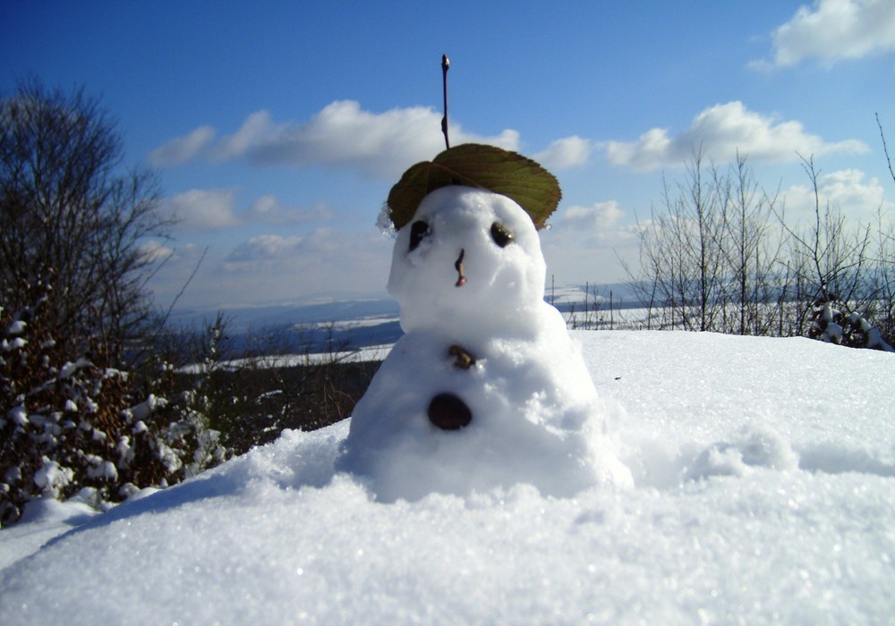 Letzter Wintergruß