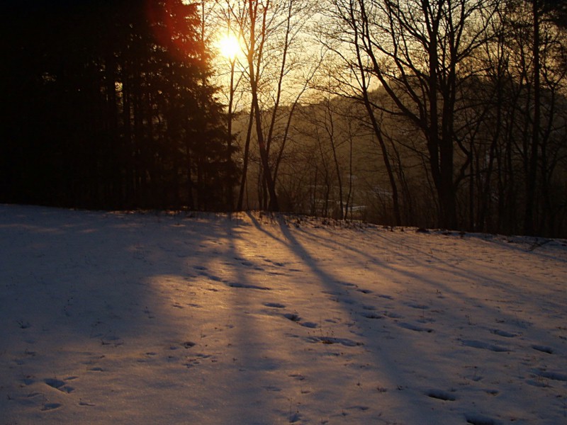 Letzter Wintergruß