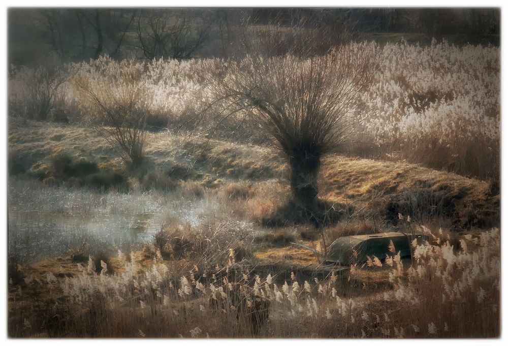 Letzter Wintergruss