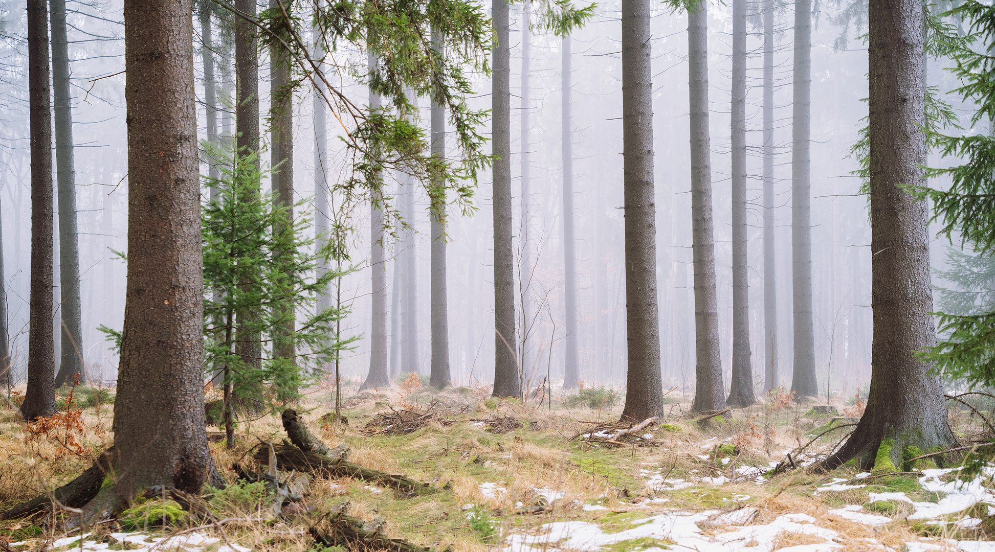 Letzter Winterhauch 