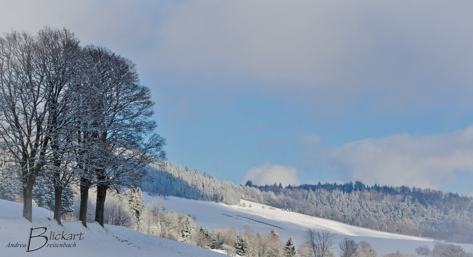 Letzter Winterspaziergang