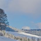 Letzter Winterspaziergang