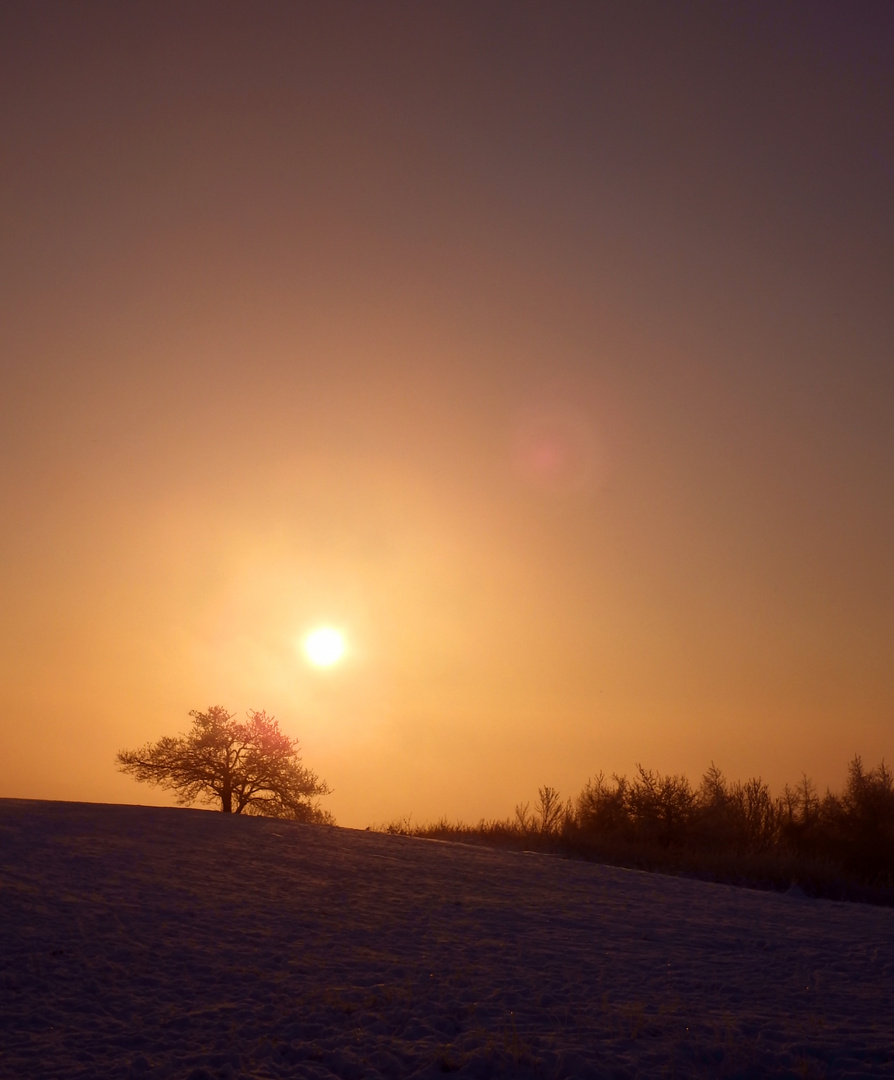 letzter Wintertag auf dem Götterberg