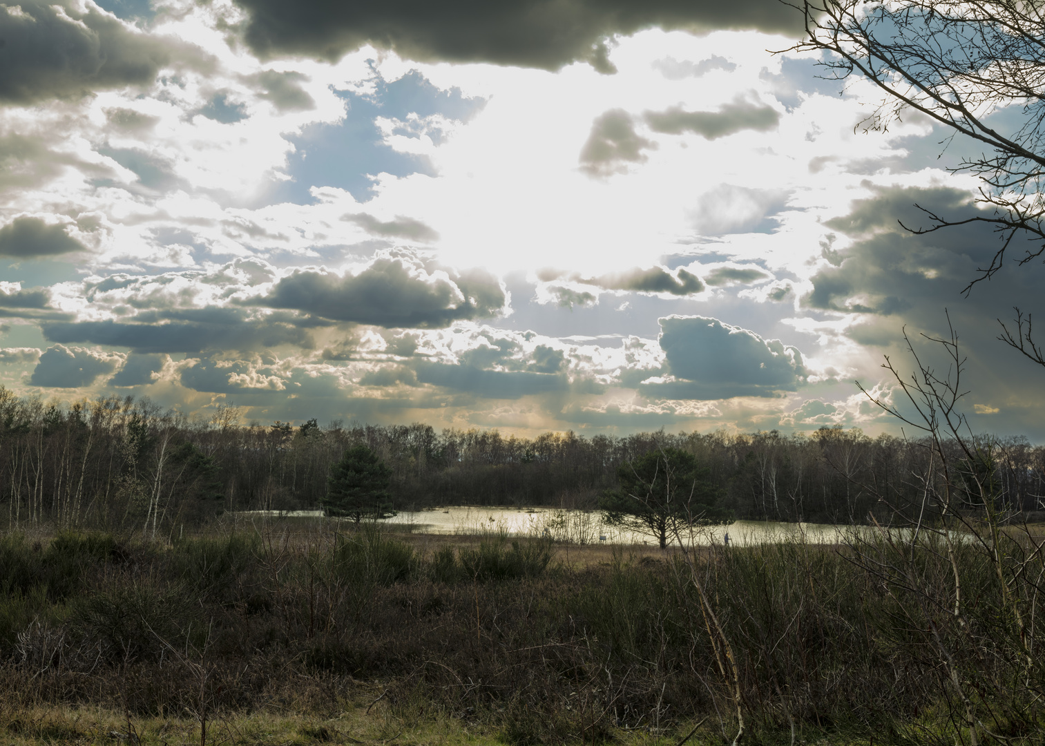 Letzter Wintertag: Wahner Heide / Last Winter Day: Wahner Heide