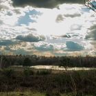 Letzter Wintertag: Wahner Heide / Last Winter Day: Wahner Heide