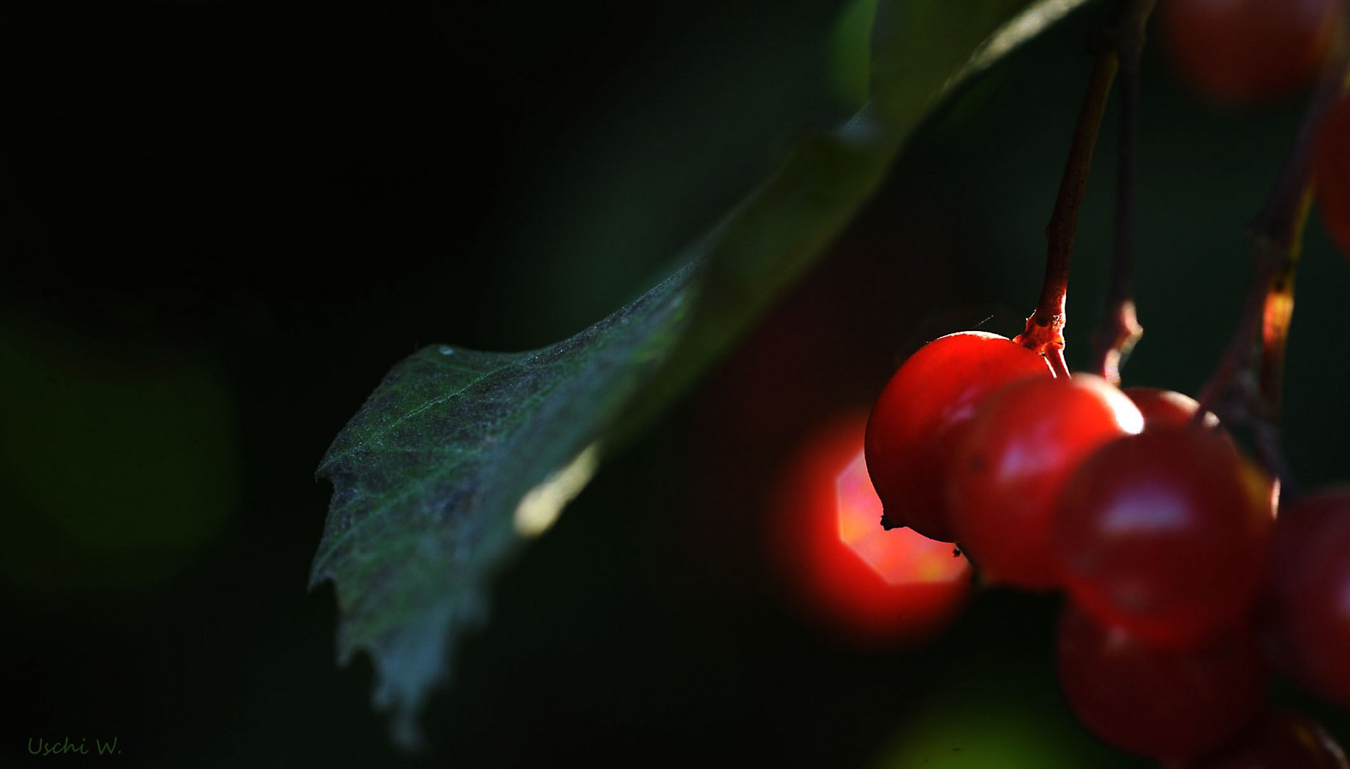 Letztes Abendlicht