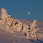 Letztes Abendlicht