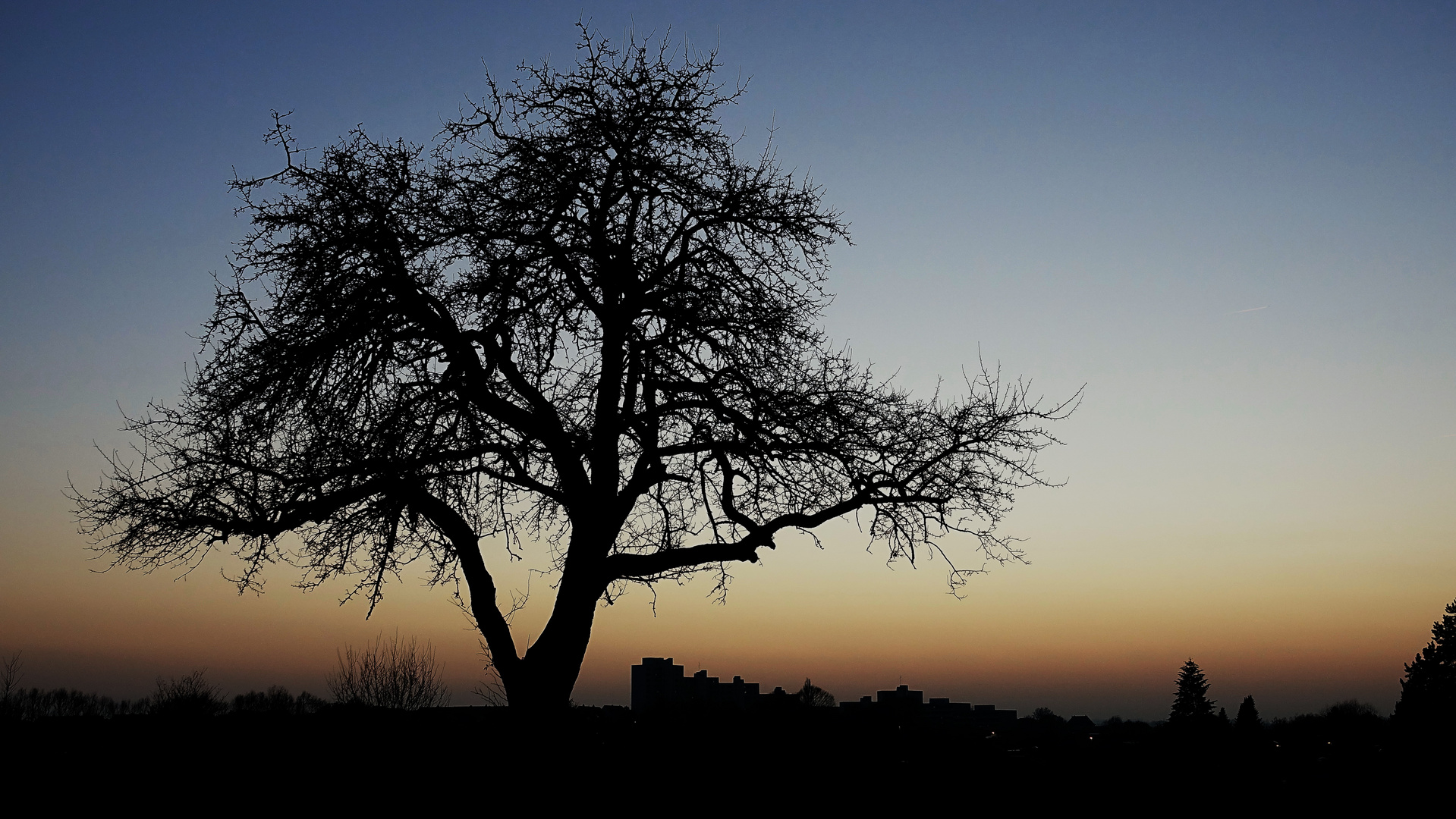 Letztes Abendlicht