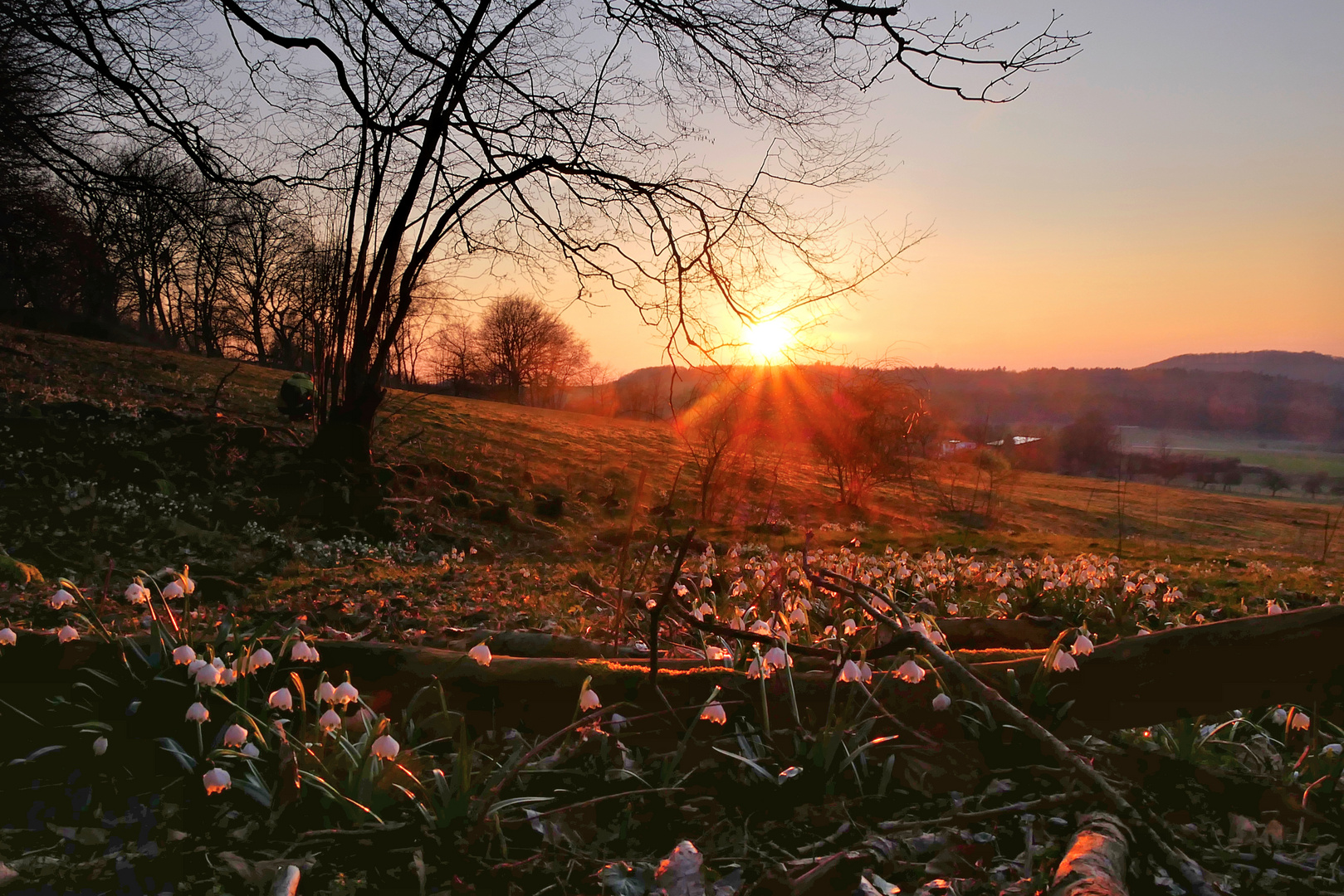 letztes Abendlicht....